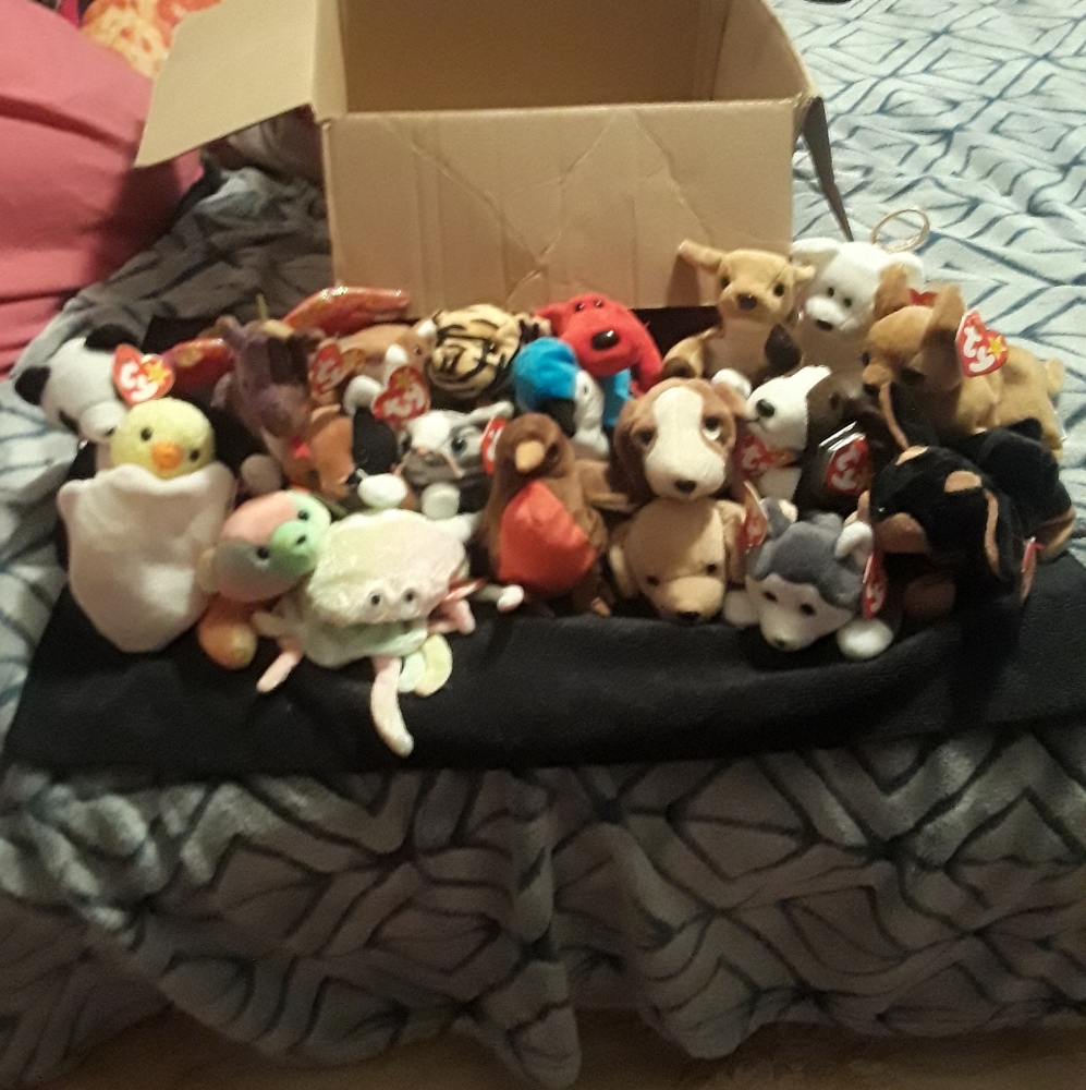 TY Beanie Bundle